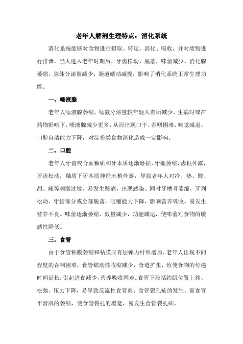 老年人解剖生理特点：消化系统