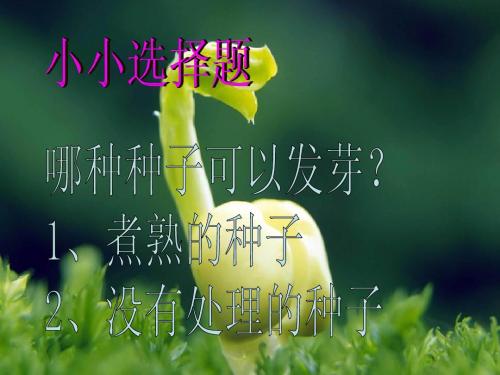 29、《手捧空花盆的孩子》