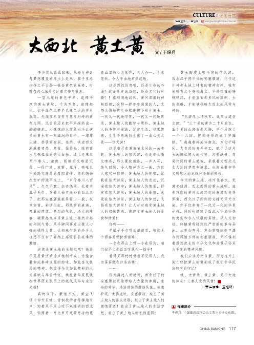 大西北 黄土黄