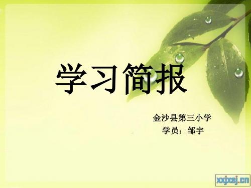 学习简报 邹宇
