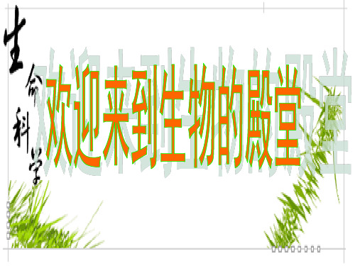 苏科版生物七上7.1《能量的释放和利用》课件(共34张PPT)