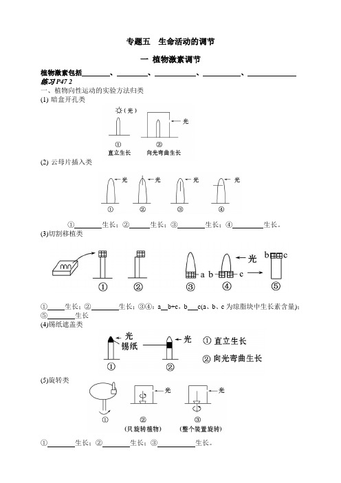 专题五  生命活动的调节——植物激素调节