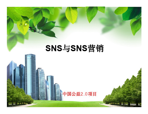 SNS与SNS营销综合论述(pdf 39页)
