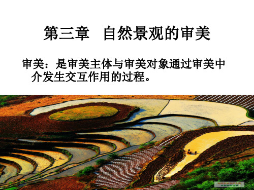 自然景观的审美 ppt课件
