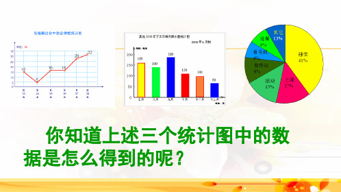 北师大版七年级上册数学课件6.1数据的收集(共18张PPT)
