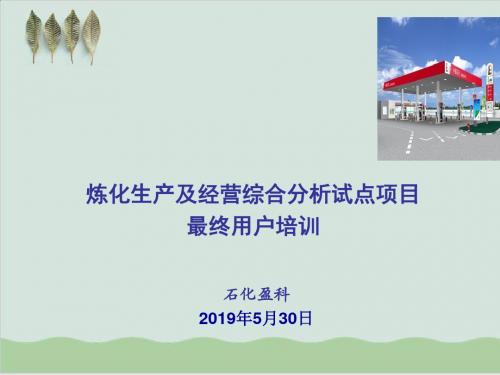 中石化炼化企业生产经营综合分析项目培训PPT课件( 48页)