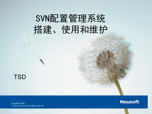 SVN配置管理系统的搭建、使用和维护