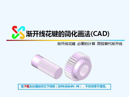渐开线花键的简化画法(免费)