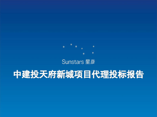 中建投项目投标报告