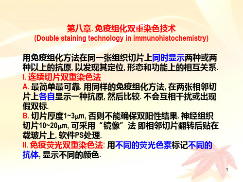 08 免疫组化双重染色技术汇总