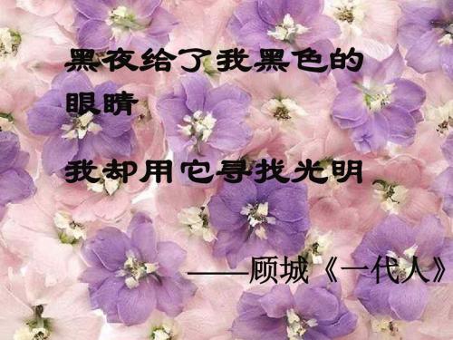 《盲孩子和他的影子》课件