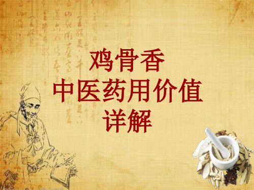 中药学_鸡骨香_药材详解课件模板_性味
