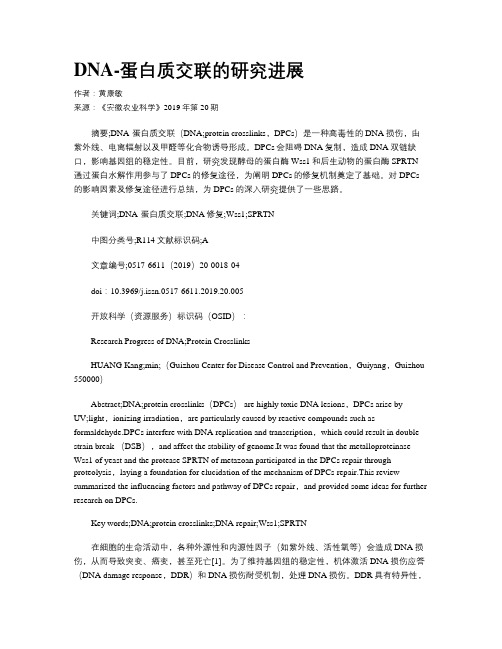 DNA-蛋白质交联的研究进展