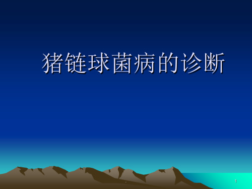 链球菌病ppt课件