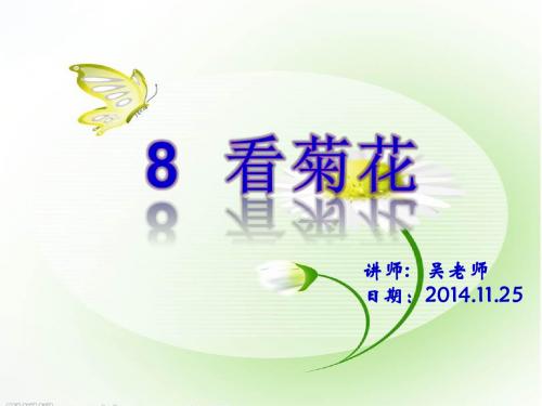8.看菊花ppt