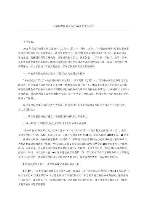 共青团某医院委员会年工作总结