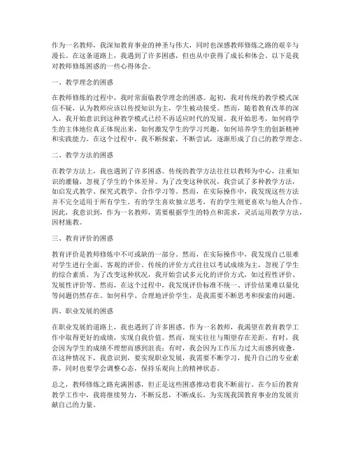 教师修炼困惑心得体会