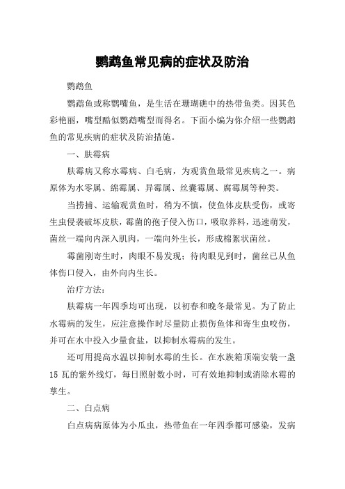 鹦鹉鱼常见病的症状及防治