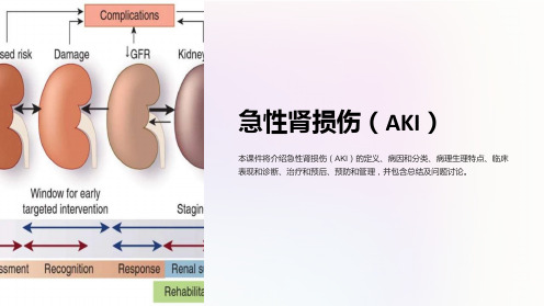 《肾脏病学课件：急性肾损伤(AKI)》