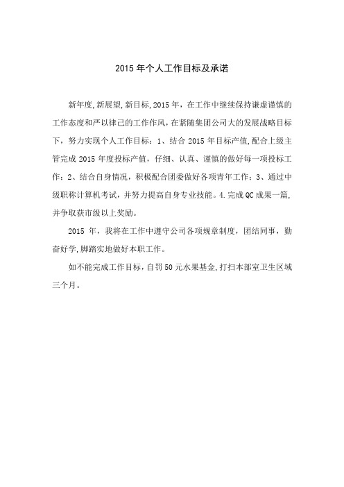 2015年个人工作目标规划及承诺 - 副本