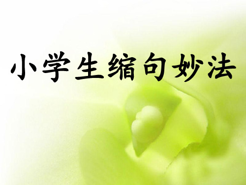 完整的小学缩句指导及练习精华版 ppt课件