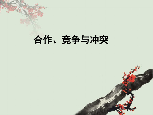 合作、竞争与冲突