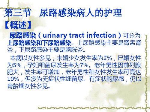 尿路感染的护理ppt
