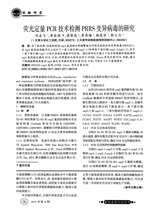 荧光定量PCR技术检测PRRS变异病毒的研究