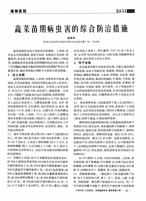 蔬菜苗期病虫害的综合防治措施