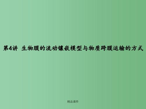 高考生物一轮复习 生物膜的流动镶嵌模型与物质跨膜运输的方式精品 新人教版必修1