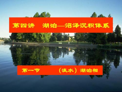 《油区岩相古地理》第四讲 湖泊沼泽