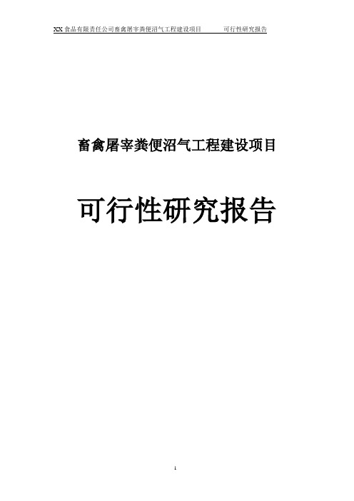 食品有限责任公司畜禽屠宰粪便沼气工程建设项目可行性研究报告