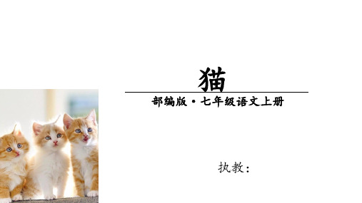 第16课《猫》课件(共18张PPT)2023—2024学年统编版语文七年级上册