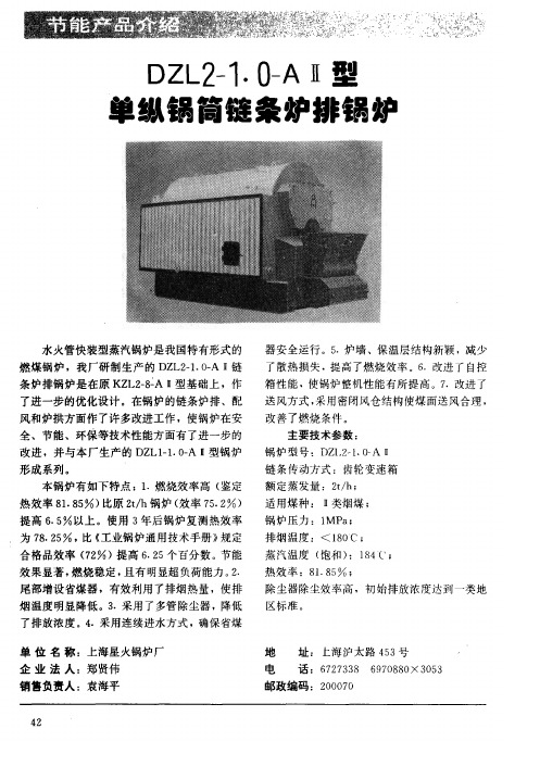 DZL2-1.0-AⅡ型单纵锅筒链条炉排锅炉