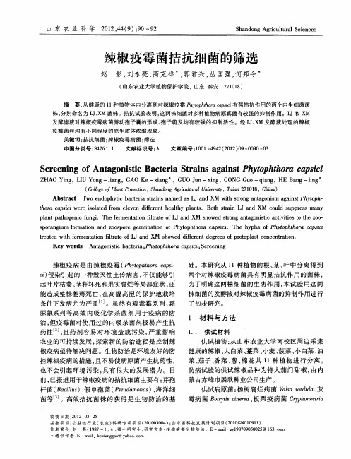 辣椒疫霉菌拮抗细菌的筛选