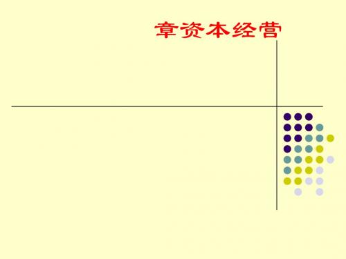 资本经营管理概述(PPT 51张)