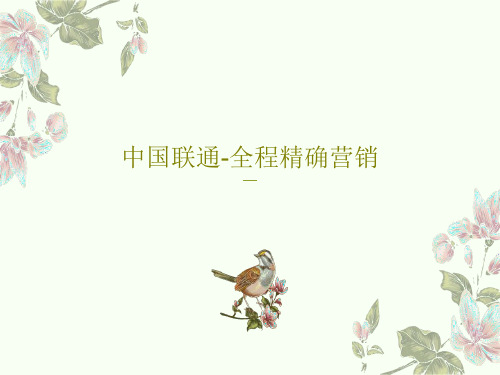 中国联通-全程精确营销共20页