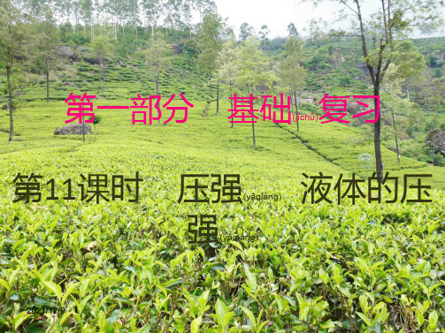 中考物理总复习 第一部分 基础复习 第11课时 压强 液体的压强内文部分课件