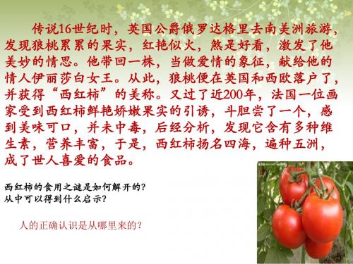 在实践中寻求真知