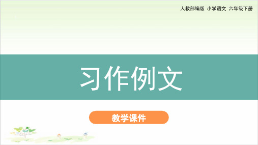 六年级下册语文实用课件《习作例文》人教部编版21张幻灯片