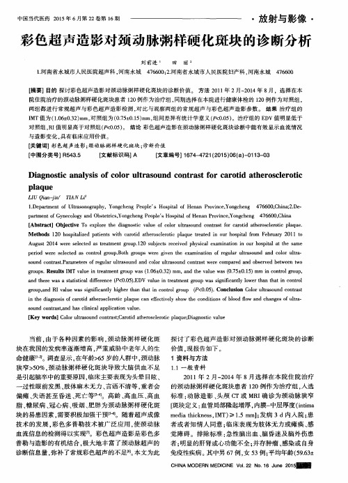 彩色超声造影对颈动脉粥样硬化斑块的诊断分析