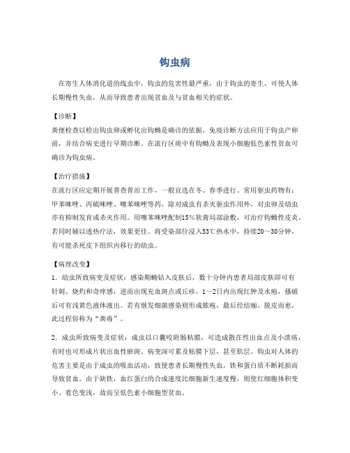医学知识之钩虫病
