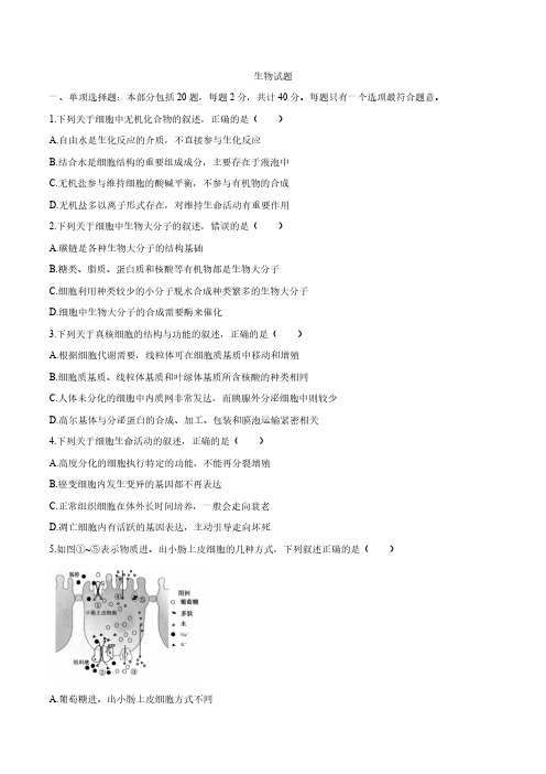 2020年江苏卷生物高考试题