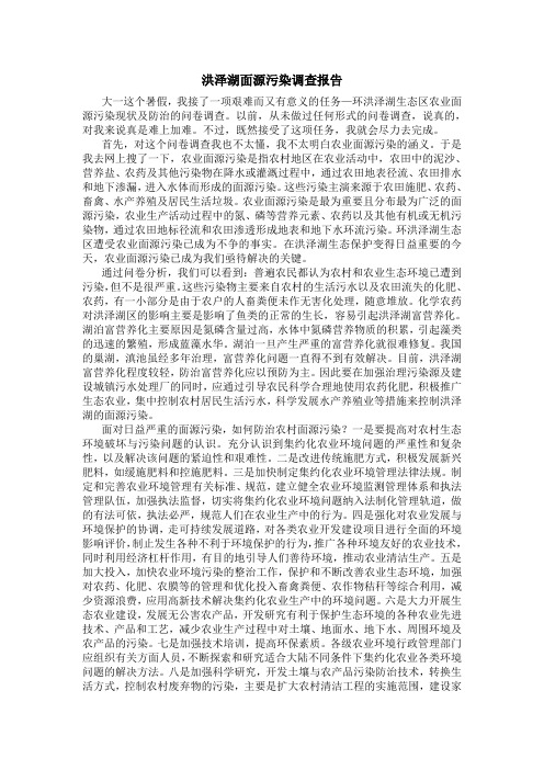 泗洪调研报告2