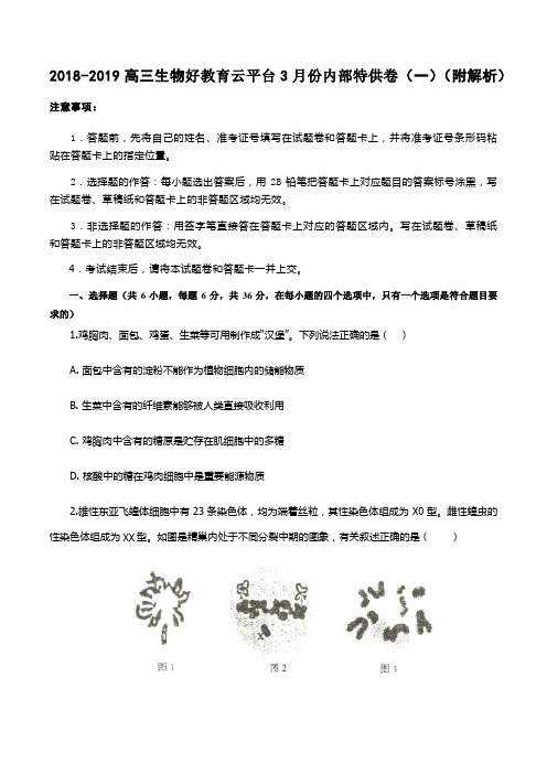 2018-2019高三生物好教育云平台3月份内部特供卷(一)(附解析)