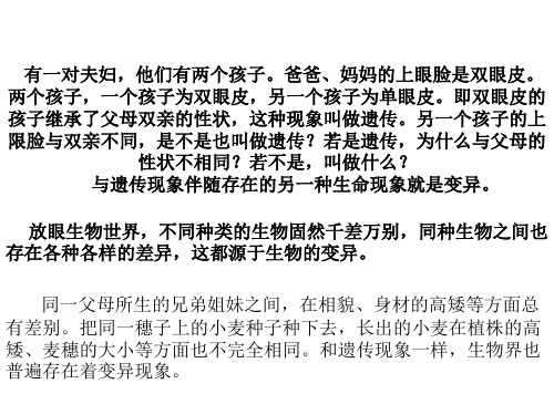 生物的遗传和变异1(PPT)4-2