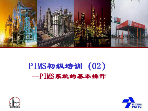 初级培训-PIMS系统的基本操作(02)