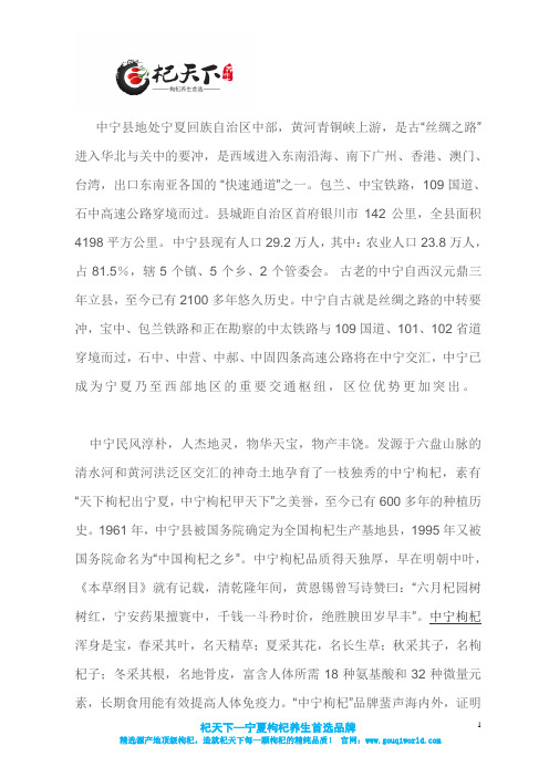 宁夏中宁县介绍