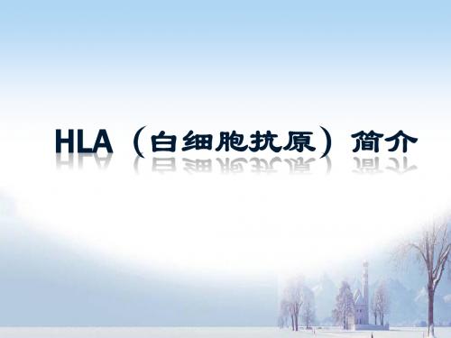00 组织相容性抗原_HLA_白细胞抗原_简介