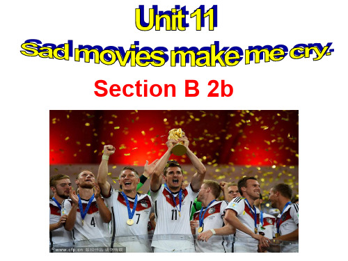 初三英语Unit 11 Section B 2b